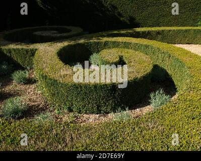 Box Hedge, Houghton Hall & Gardens, Norfolk, East Anglia, Angleterre, Royaume-Uni. Banque D'Images