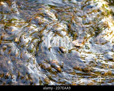 L'eau coule doucement dans un petit ruisseau Banque D'Images