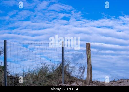 Ahlbeck, Allemagne. 22 octobre 2020. Dans les dunes de la frontière entre la Pologne et l'Allemagne, la nouvelle barrière de protection de la faune est située pour protéger contre la peste porcine. Une clôture métallique permet d'empêcher le débordement de sangliers en cas de propagation de la peste porcine africaine (AEP) le long de la côte. La clôture pour la protection de la faune contre la peste porcine à la frontière de la Pologne est à mi-chemin dans le Mecklembourg-Poméranie occidentale. Pour prévenir l'introduction de la maladie animale, répandue en Pologne, l'État érige une barrière de 62.5 kilomètres de long. Credit: Jens Büttner/dpa-Ze/dpa/Alay Live News Banque D'Images