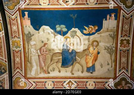 Vol en Égypte par Giotto à la basilique Saint-François Banque D'Images