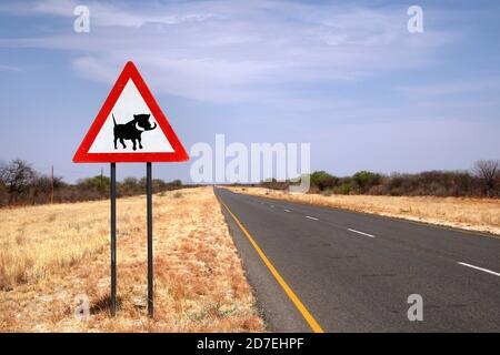 Panneau de passage à Warthog sur la route namibienne Banque D'Images