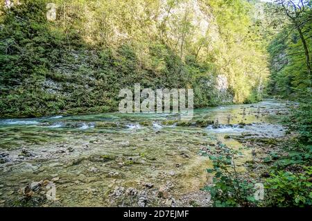 rivière en forêt, photo numérique comme arrière-plan Banque D'Images