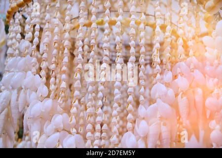 Arrière-plan de coques blanches sur une corde. Texture légère des coquillages. Décoration décorative de coquillages Banque D'Images