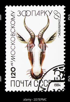 MOSCOU, RUSSIE - 31 MARS 2018 : un timbre imprimé en URSS (Russie) montre Bontebok (Damaliscus pygargus), Zoo de Moscou, série du 120e anniversaire, vers 198 Banque D'Images