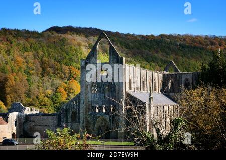 Tintern, Royaume-Uni. 22 octobre 2020. Abbaye de Tintern, dans le village de Tintern, dans le Monbucshire, au pays de Galles, qui se trouve du côté gallois de la rivière Wye, la frontière entre l'Angleterre et le pays de Galles, qui se ferme pendant 17 jours à compter du vendredi 23 octobre. Crédit: Thousand Word Media Ltd/Alay Live News Banque D'Images