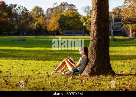Frederick, MD, USA 10/14/2020: Une belle jeune femme caucasienne avec une queue de poney et des vêtements décontractés est assise sous un arbre et lit un livre sur un soleil Banque D'Images