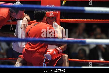 Boxeur et entraîneur à l'anneau d'angle, duirng un match de boxe amateur pendant l'AIBA World Boxing Champioship à Milan 2009. Banque D'Images