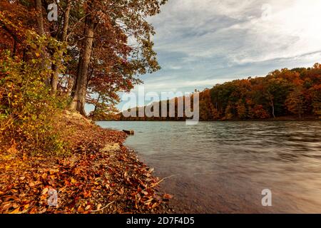 Un paysage d'automne pittoresque au parc Black Hill avec un lac entouré d'une forêt épaisse. Les arbres sont recouverts de tons automnaux éclatants. Il y a fal Banque D'Images