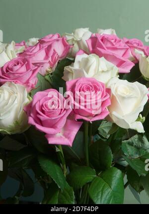 Roses posy sur fond vert, gros plan Banque D'Images