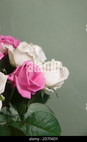 Roses posy sur fond vert, gros plan Banque D'Images