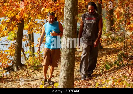 Boyd, MD, USA 10/20/2020: Un jeune homme athlétique afro-américain et son ami caucasien marchent ensemble sur un sentier de randonnée en forêt. La masse est en crique Banque D'Images