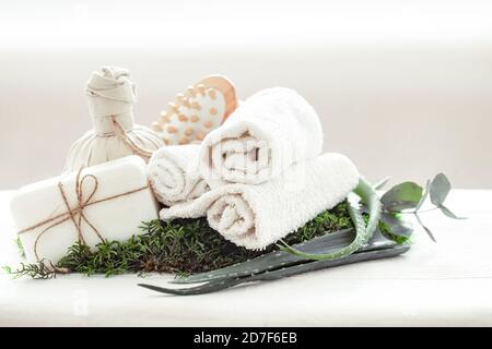 Composition de spa avec Aloe Vera sur fond clair avec une serviette blanche torsadée. Le concept de beauté et de santé . Banque D'Images