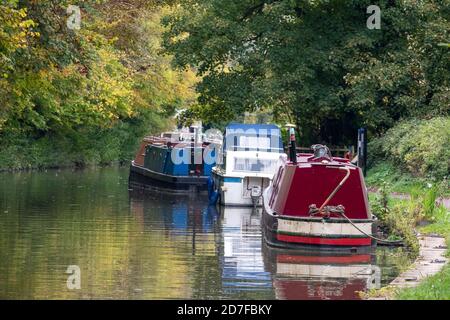 Bateaux de la maison sur le canal Kennet et Avon près de Bradford on Avon, Wiltshire, Royaume-Uni. Photographié en automne. Banque D'Images