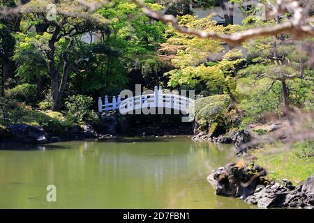 Jardin Kyu-Yasuda dans le district de Ryogoku, Sumida, Tokyo, Japon Banque D'Images