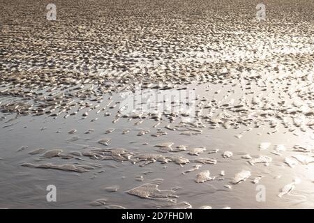 Textures et formes faites par l'eau et le vent sur le sable, à la plage, lumière reflet de l'eau. Banque D'Images