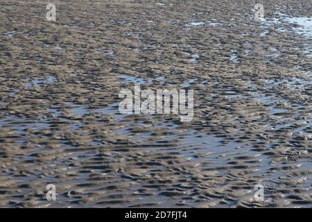 Textures et formes faites par l'eau et le vent sur le sable, à la plage, lumière reflet de l'eau. Banque D'Images