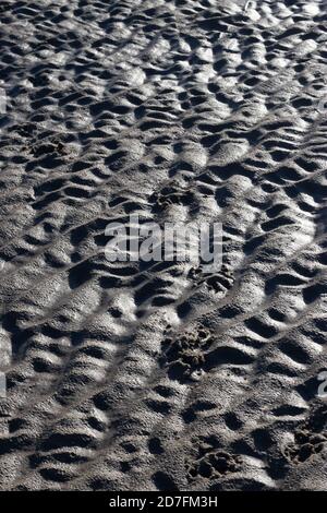 Textures et formes faites par l'eau et le vent sur le sable, à la plage, lumière reflet de l'eau. Banque D'Images