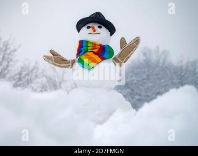 Bonhomme de neige en chapeau d'hiver. Bonhomme de neige dans la forêt enneigée. Joyeux Noël et Bonne Année. Scène d'hiver avec bonhomme de neige sur fond de neige blanc. Banque D'Images