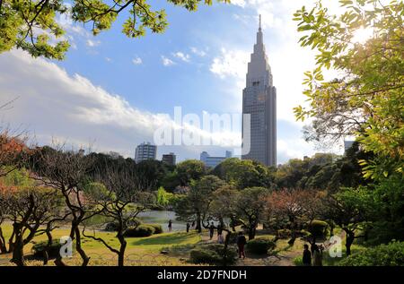 Jardin Shinjuku Gyoen avec le bâtiment NTT DoCoMo Yoyogi dans le Background.Shinjuku.Tokyo.Japon Banque D'Images