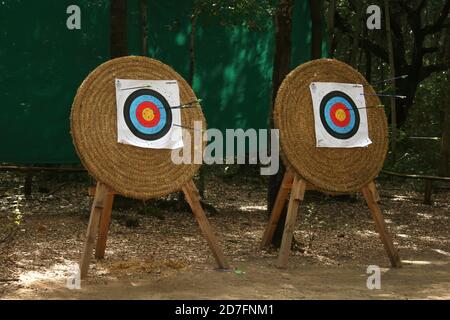 Deux cibles de tir à l'arc dans le bois. Plusieurs flèches ont frappé l'anneau cible dans la cible de tir à l'arc, d'autres sont dehors. Ce jeu est très utilisé dans les villages touristiques. Banque D'Images