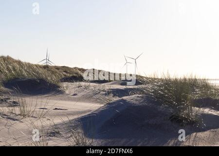 Pelouse de plage en automne, jour venteux avec moulins à vent à l'arrière. Jour d'hiver Banque D'Images