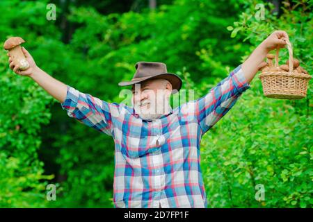 Cueillette de champignons. Grand-père heureux - été et passe-temps. Vieux marcheur. Grand-père pensionné. Randonnée senior en forêt. Banque D'Images