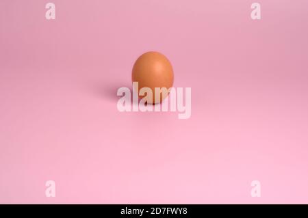détail d'un œuf de poule brun sur un rose uni arrière-plan Banque D'Images