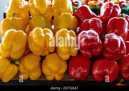 Poivrons rouges et jaunes, marché, E USA, par James D Coppinger/Dembinsky photo Assoc Banque D'Images