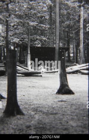 Fin années 1970 vintage noir ad blanc photographie de hangar debout au milieu des bois. Banque D'Images