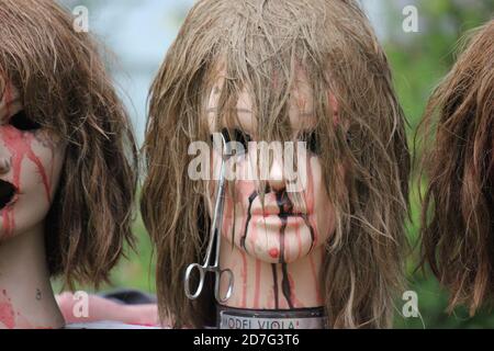 Une décoration de pelouse d'Halloween de gory de la tête coupée d'une femme. Banque D'Images