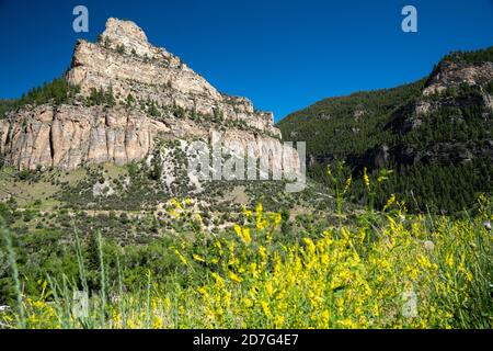 Le canyon de Tensleep, coloré et luxuriant, le long de la route panoramique Cloud Peak (US Highway 16) dans la forêt nationale de Bighorn du Wyoming en été Banque D'Images