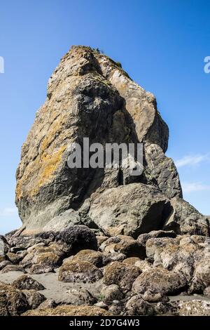 Un sommet de roche de pile de mer au large de 2nd Beach, Olympic Coast National Marine Sanctuary / National Park, Washington, Etats-Unis. Banque D'Images