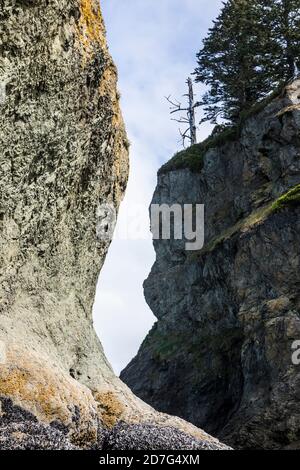 Rochers pile de mer au large de 2nd Beach, Olympic Coast National Marine Sanctuary / National Park, Washington, Etats-Unis. Banque D'Images