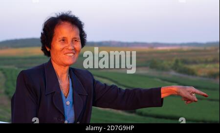 Portrait de la vieille femme souriant dans la plantation de thé vert Banque D'Images