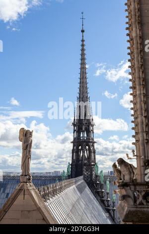 Notre-Dame de Paris, France. Banque D'Images