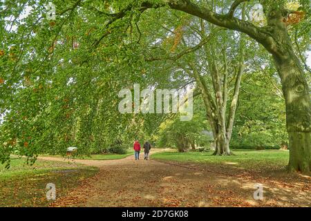 Deux visiteurs voient les couleurs changeantes pendant l'automne dans le jardin botanique de l'université de Cambridge, en Angleterre. Banque D'Images