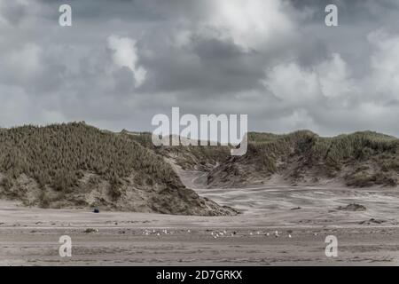 Les dunes de plage de Blaavand sur la côte nord de la mer par une journée venteuse, au Danemark Banque D'Images