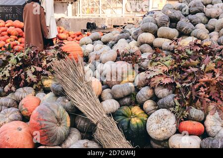 Beaucoup de citrouilles et de fleurs décoratives sur le marché agricole. Saison des fêtes de Thanksgiving et décor d'Halloween. Vers d'automne, consépt natura d'automne Banque D'Images