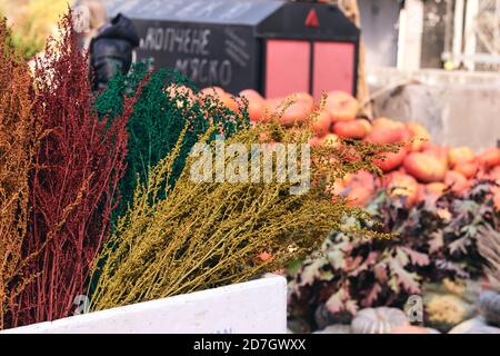 Beaucoup de citrouilles et de fleurs décoratives sur le marché agricole. Saison des fêtes de Thanksgiving et décor d'Halloween. Vers d'automne, consépt natura d'automne Banque D'Images