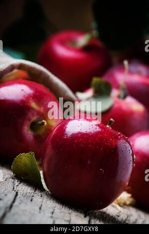 Pommes d'automne rouges avec gouttes sur fond rustique en bois, concentration sélective Banque D'Images