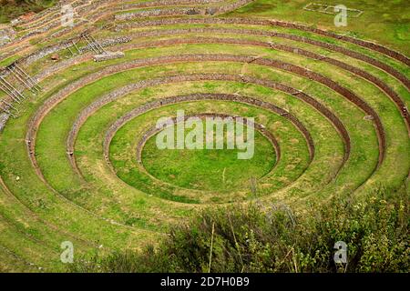 Terrasses agricoles historiques de Moray, situées dans la Vallée Sacrée des Incas, région de Cusco, Pérou Banque D'Images
