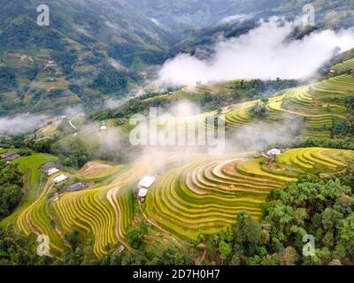 Découvrez le magnifique paysage des terrasses de riz pendant la saison du riz mûr dans le village de Phung, le district de Hoang su Phi, la province de Ha Giang, Vietnam de l'ab Banque D'Images