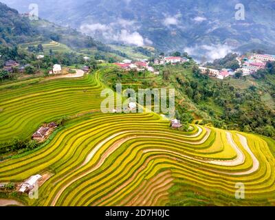 Découvrez le magnifique paysage des terrasses de riz pendant la saison du riz mûr dans le village de Phung, le district de Hoang su Phi, la province de Ha Giang, Vietnam de l'ab Banque D'Images