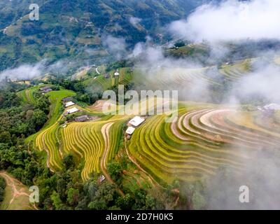 Découvrez le magnifique paysage des terrasses de riz pendant la saison du riz mûr dans le village de Phung, le district de Hoang su Phi, la province de Ha Giang, Vietnam de l'ab Banque D'Images