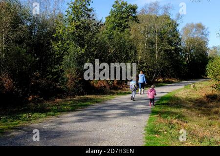 femme avec deux petits enfants marchant dans la nature des bois de blean réserve dans l'est du kent, royaume-uni, octobre 2020 Banque D'Images