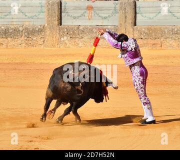 Corrida - Feria Goyesca Ronda, Andalousie, Espagne Banque D'Images