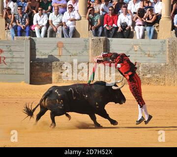 Corrida - Feria Goyesca Ronda, Andalousie, Espagne Banque D'Images