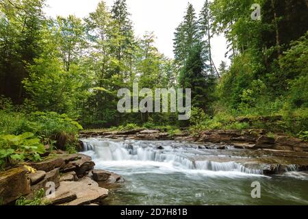 Ruisseau Mountain River au milieu des pierres et des arbres. Banque D'Images