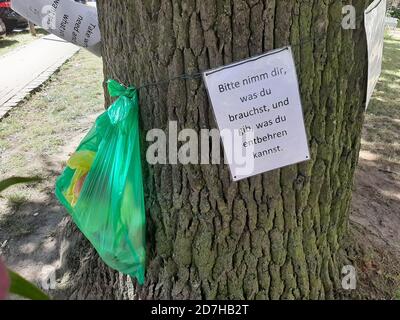 Aide alimentaire pour les pauvres dans un arbre dans une ville, en Allemagne Banque D'Images