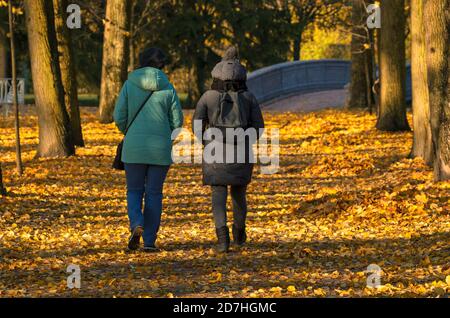 Été indien deux femmes non identifiées marchent dans un parc jaune vue de leur dos à l'ombre Banque D'Images